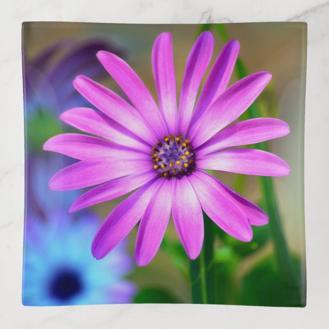 It's About Me Daisy Trinket Tray (Front)