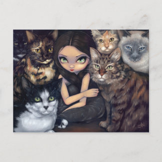 "It's All About the Cats" Postcard
