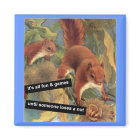 It's All Fun And Games Until Someone Loses A Nut 