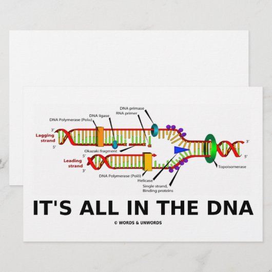 It's All In The DNA (Front/Back)