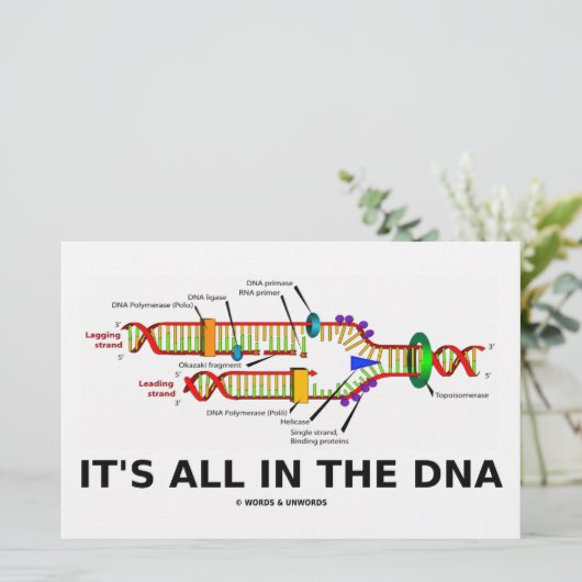 It's All In The DNA (Standing Front)