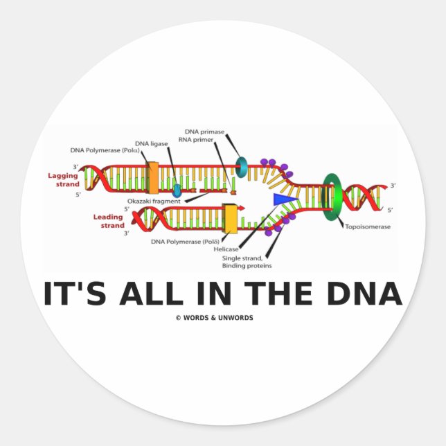 It's All In The DNA Classic Round Sticker (Front)