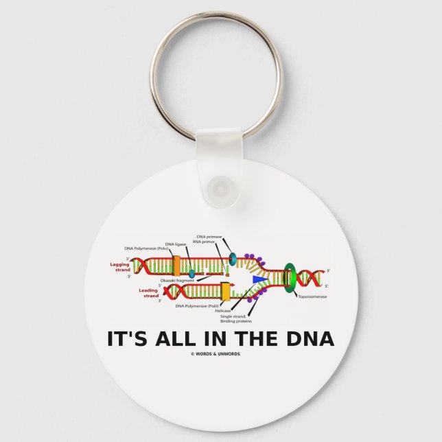 It's All In The DNA Keychain (Front)