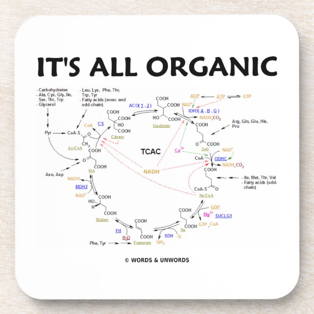 It's All Organic (Krebs Cycle) Beverage Coaster (Front)