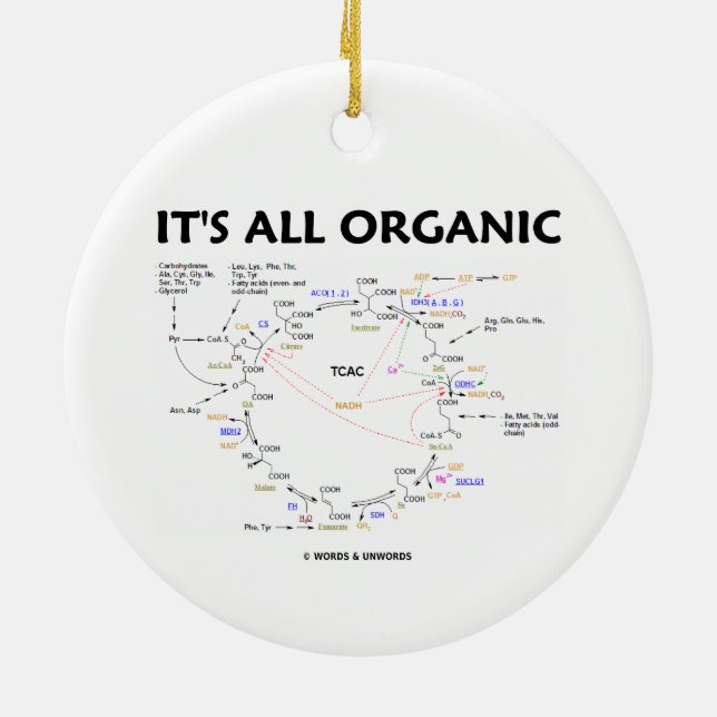It's All Organic (Krebs Cycle Humor) Ceramic Ornament (Back)