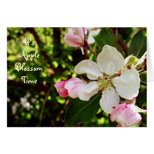 It's AppleBlossom Time Cards (Front Horizontal)