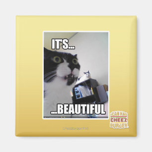 It's Beautiful Magnet