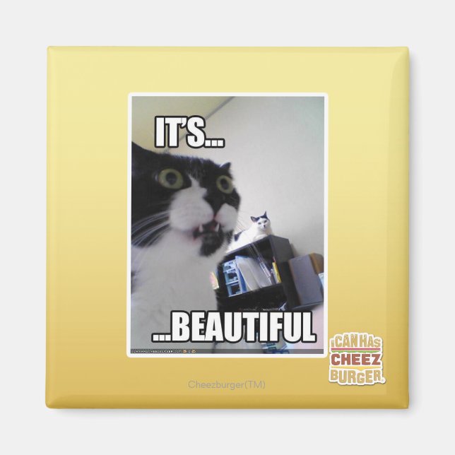 It's Beautiful Magnet (Front)