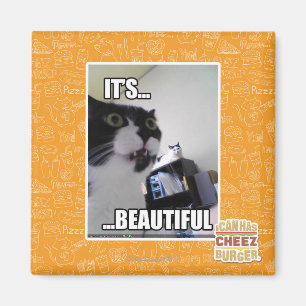 It's Beautiful Magnet