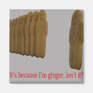 It's because I'm ginger, isn't it ? - Magnet