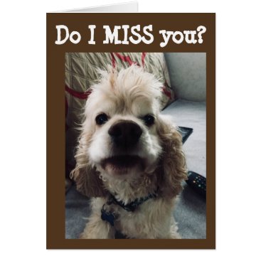 **IT'S BEEN RUFF** I AM "MISSING YOU" CARD **IT'S BEEN RUFF** I AM "MISSING YOU" CARD