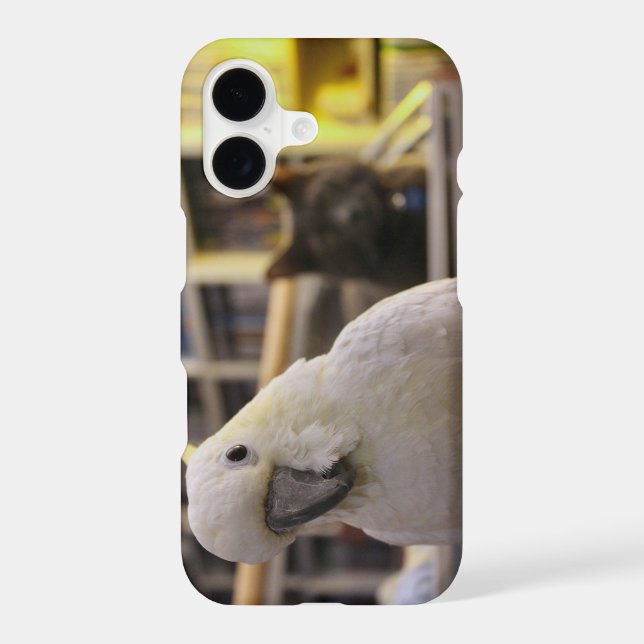 It's behind me...isn't it? iphone case (Back)