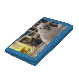 It's behind me...isn't it? trifold wallet
