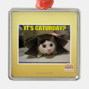 It's Caturday? Metal Ornament