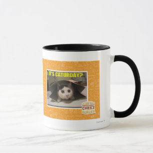 It's Caturday? Mug