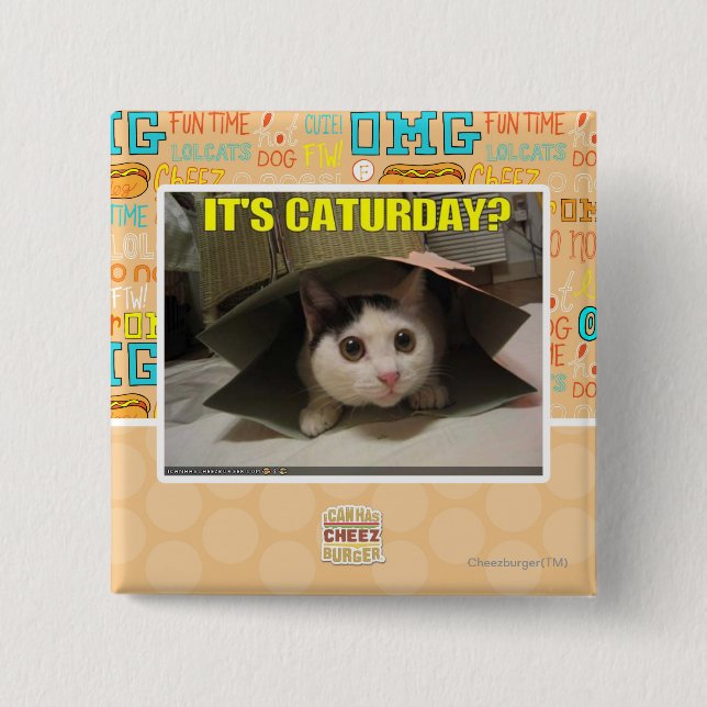 It's Caturday? Pinback Button (Front)