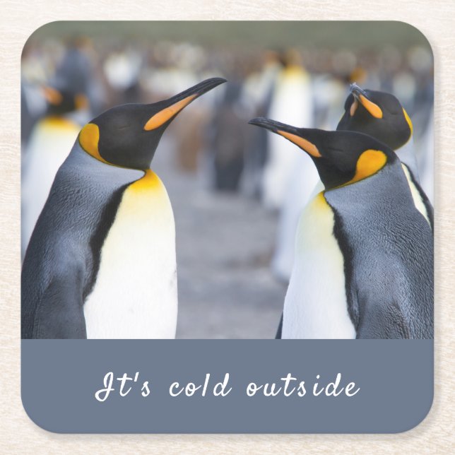 It's cold outside King Penguin photo with text Square Paper Coaster (Front)
