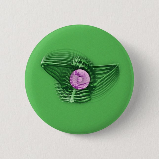 IT'S COMING AND IT'S REAL BUTTON (Front)