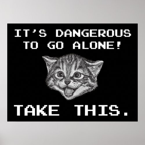 Its Dangerous To Go Alone Take This Poster