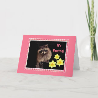 It's Easter!  Raccoon card for everyone.