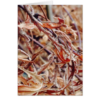 It's Fall, I Think of You... Cards