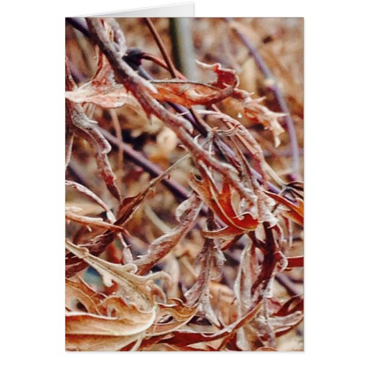 It's Fall, I Think of You... Cards (Front)