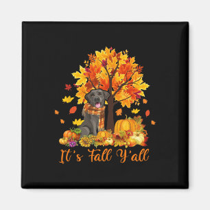 It's Fall Y'all Labrador Black Lab Halloween Thank Magnet