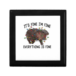 It's Fine I'm Fine Everything Is Fine Moo Deng Bab Gift Box