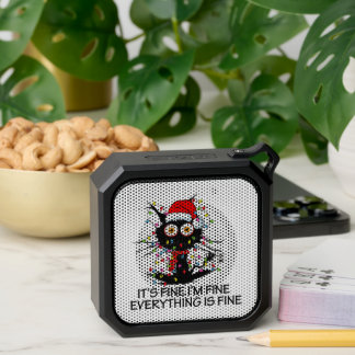 It's Fine! Speaker