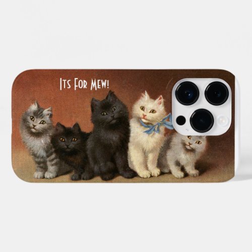 Its For Mew iPhone  iPad case