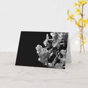 It's Going To Be Ok 1 Flower Photography Blank Card