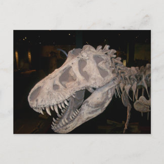 It's gonna eat you!!! postcard