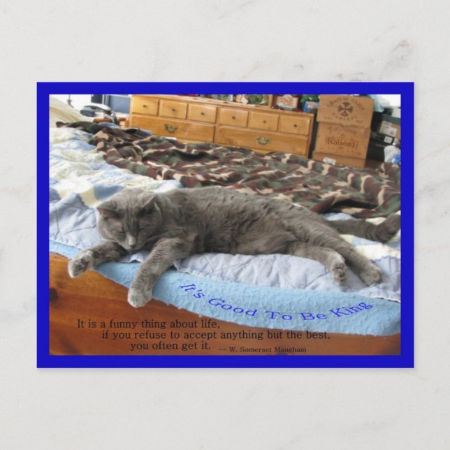 It's Good To Be King Postcard (Front)