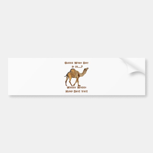Its Hump Day Bumper Sticker (Front)