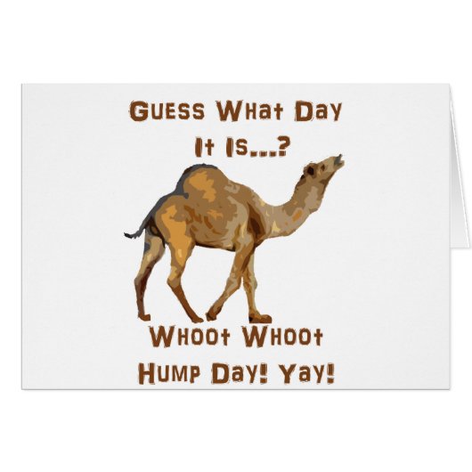 Its Hump Day Cards (Front Horizontal)