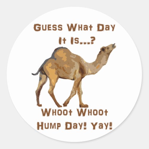 Its Hump Day Classic Round Sticker