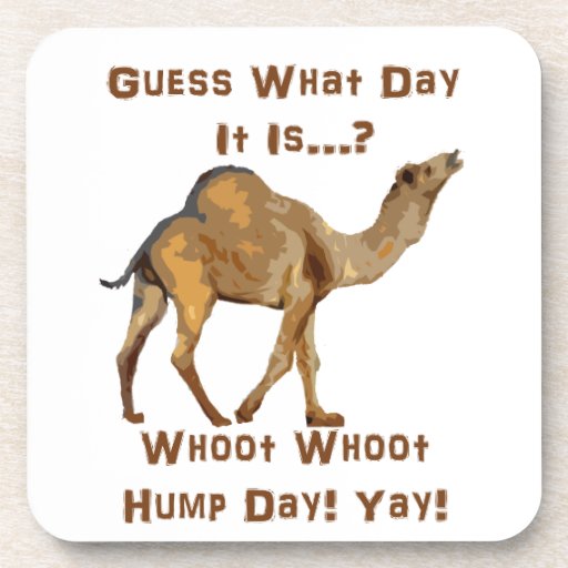 Its Hump Day Drink Coaster | Zazzle