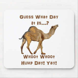 Its Hump Day Mouse Pad