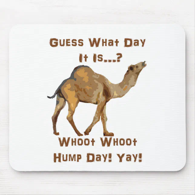 Its Hump Day Mouse Pad | Zazzle