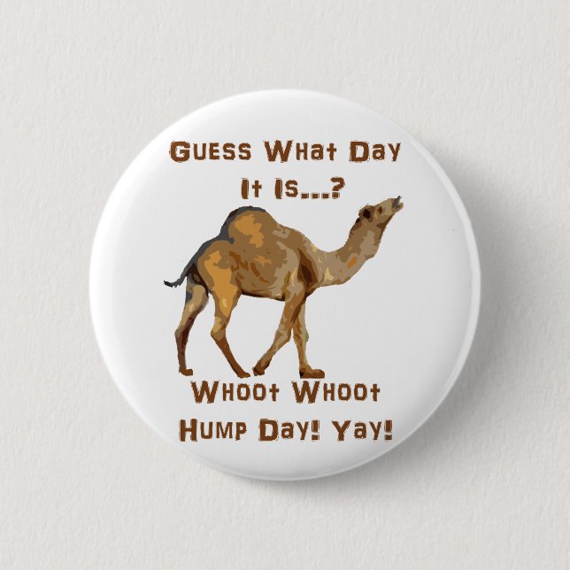 Its Hump Day Pinback Button (Front)