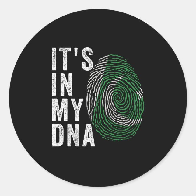It's In My DNA - Pakistan Flag Classic Round Sticker (Front)