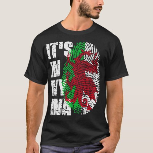 ITS IN MY DNA Wales Flag Welsh T_Shirt