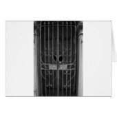 It's in the Vault! (Front Horizontal)