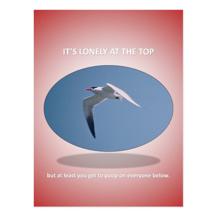 its lonely at the top but at least you get to poop post cards