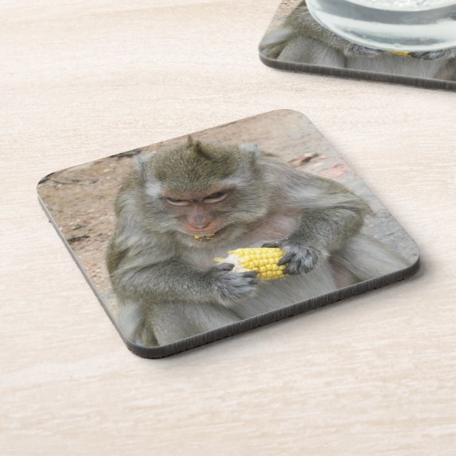 It's Mine!! ... Wild Thai Macaque Monkey Beverage Coaster (Left Side)