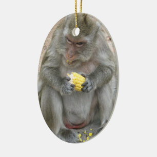 It's Mine!! ... Wild Thai Macaque Monkey Ceramic Ornament