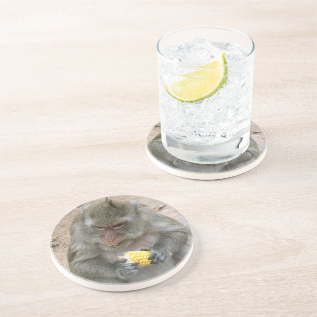 It's Mine!! ... Wild Thai Macaque Monkey Coaster (Side)