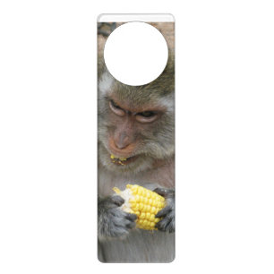 It's Mine!! ... Wild Thai Macaque Monkey Door Hanger