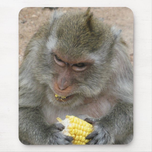 It's Mine!! ... Wild Thai Macaque Monkey Mouse Pad (Front)