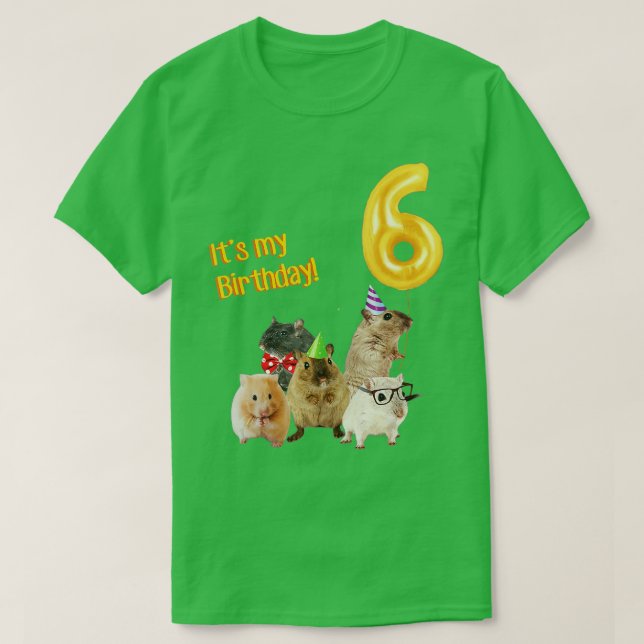 Its my Birthday 6th cute Hamster T-Shirt (Design Front)